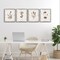 Stupell Industries Neutral Imperial Flower Studies 4pc Framed Giclee Set, design by Kelly Donovan